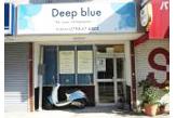 Deepblue~for your chiropractic~